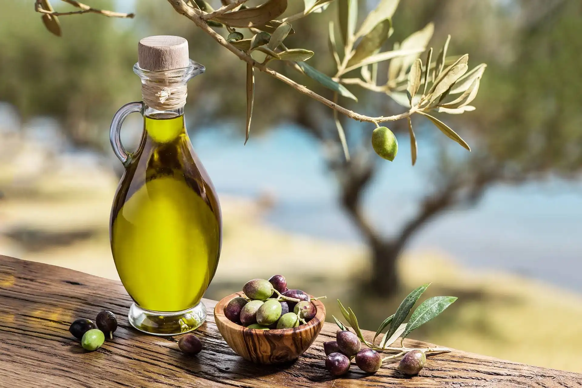 Extra Virgin Olive Oil