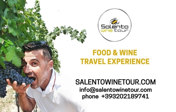 Wine Tour & Wine Tasting